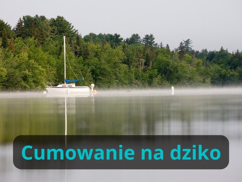 Cumowanie na dziko